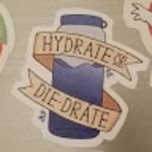 Meet your Posher, Sara